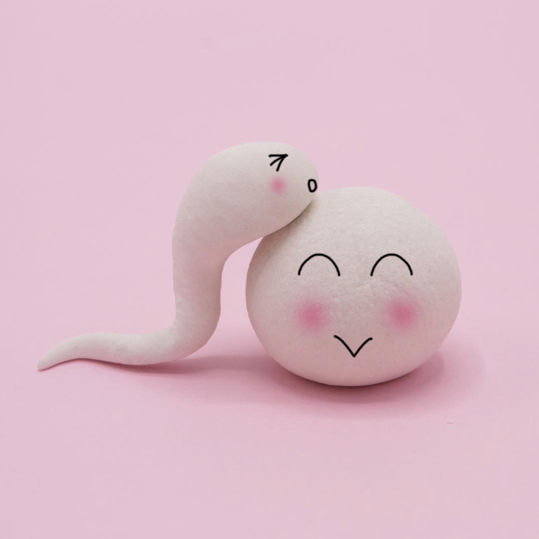 On a pink background a sperm and an egg