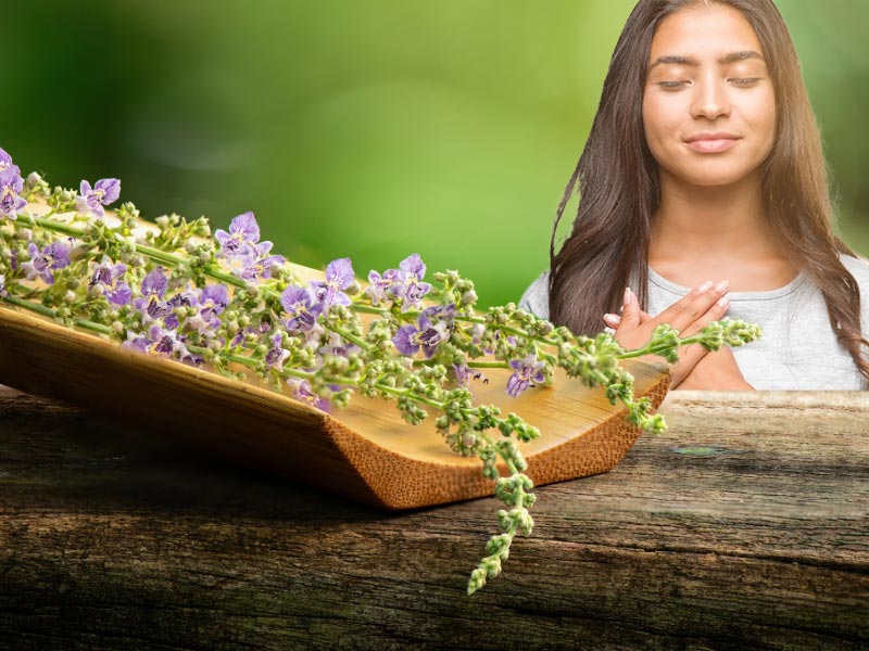 A wooden tray with Chasteberry flowers on a wooden table with a young woman in the background holding her hands on her heart and closing her eyes smiling